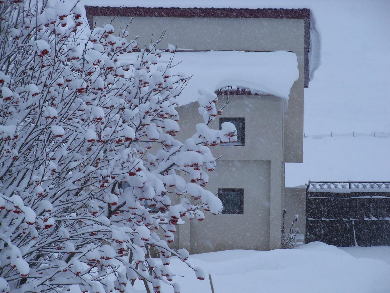 ---Allegria House--- Stepantsminda Exterior photo